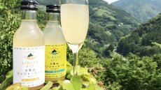 画像2: 土佐山 ジンジャーエール 辛口 M 200ml （ノンアルコール飲料/夢産地とさやま） (2)