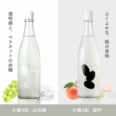 画像5: 大嶺3粒カジュアルセット  (日本酒 720ml 2本 Ohmine 3grain 山田錦 雄町) (5)