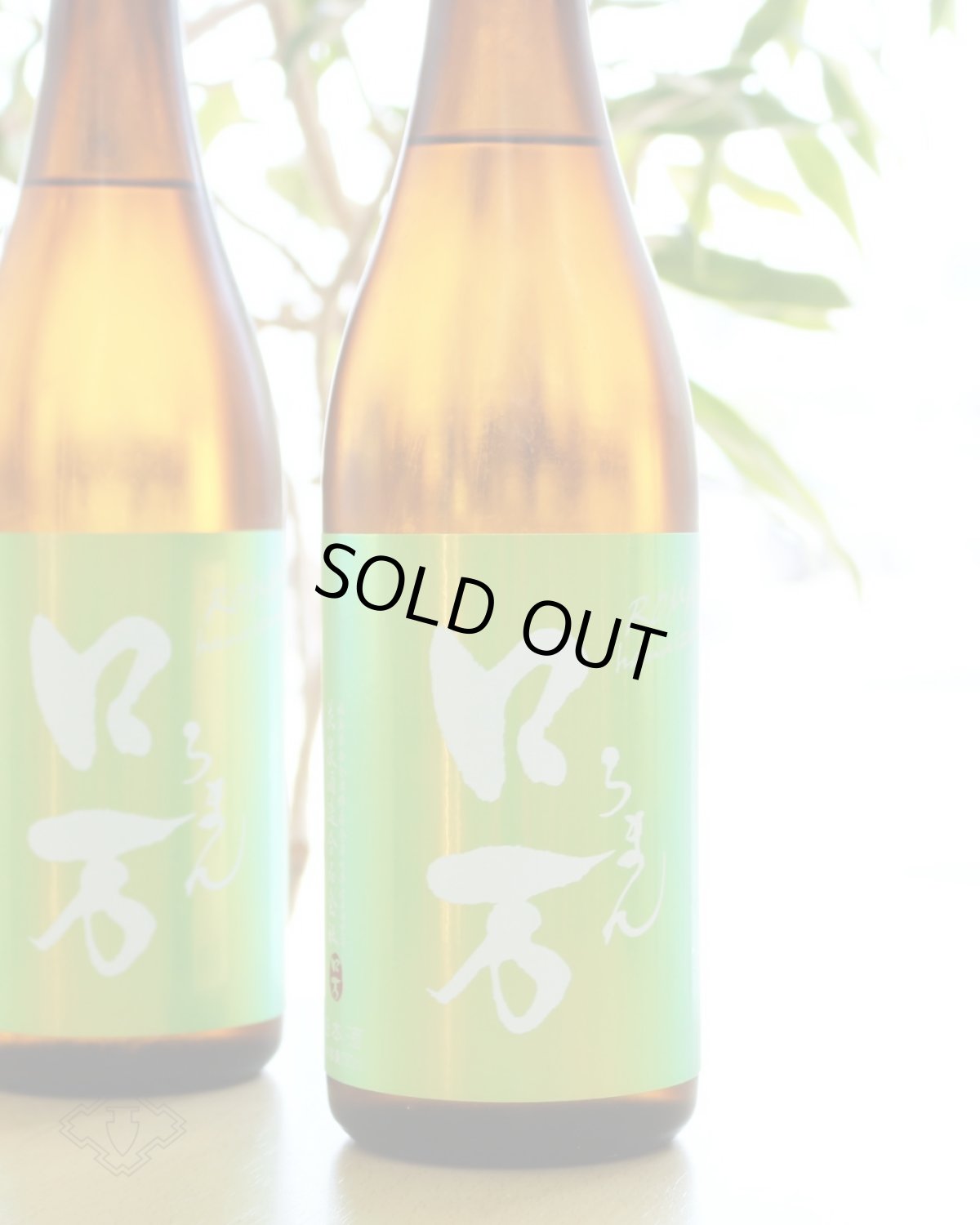 画像4: 皐ロ万 純米大吟醸（日本酒 花泉酒造 ろまん） (4)