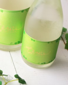 画像2: ちえびじん Evergreen 春陽 生 1800ml（日本酒 中野酒造）（要冷蔵） (2)