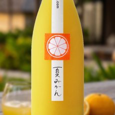 画像1: 鶴梅 夏みかん (1)