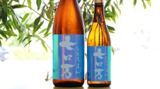 画像7: 七ロ万 純米大吟醸（日本酒 花泉酒造 ろまん） (7)