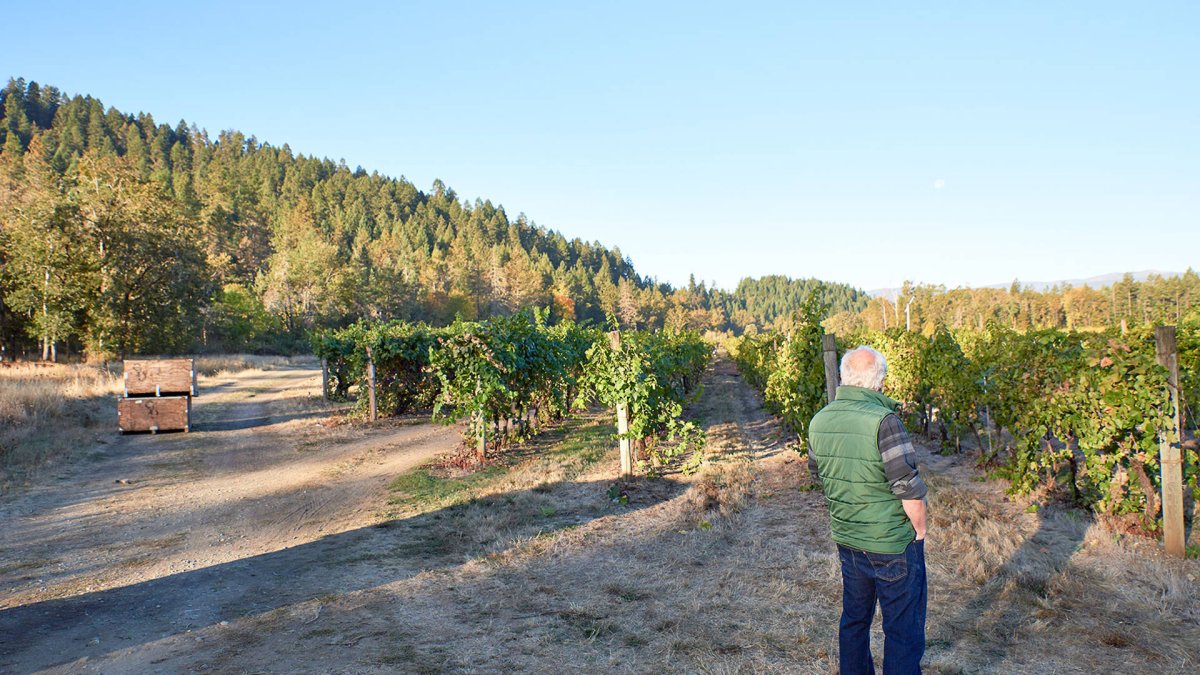 画像7: フォリス ピノ ノワール ログ ヴァレー（赤ワイン アメリカ オレゴン　フォリス・ヴィンヤーズ） (7)