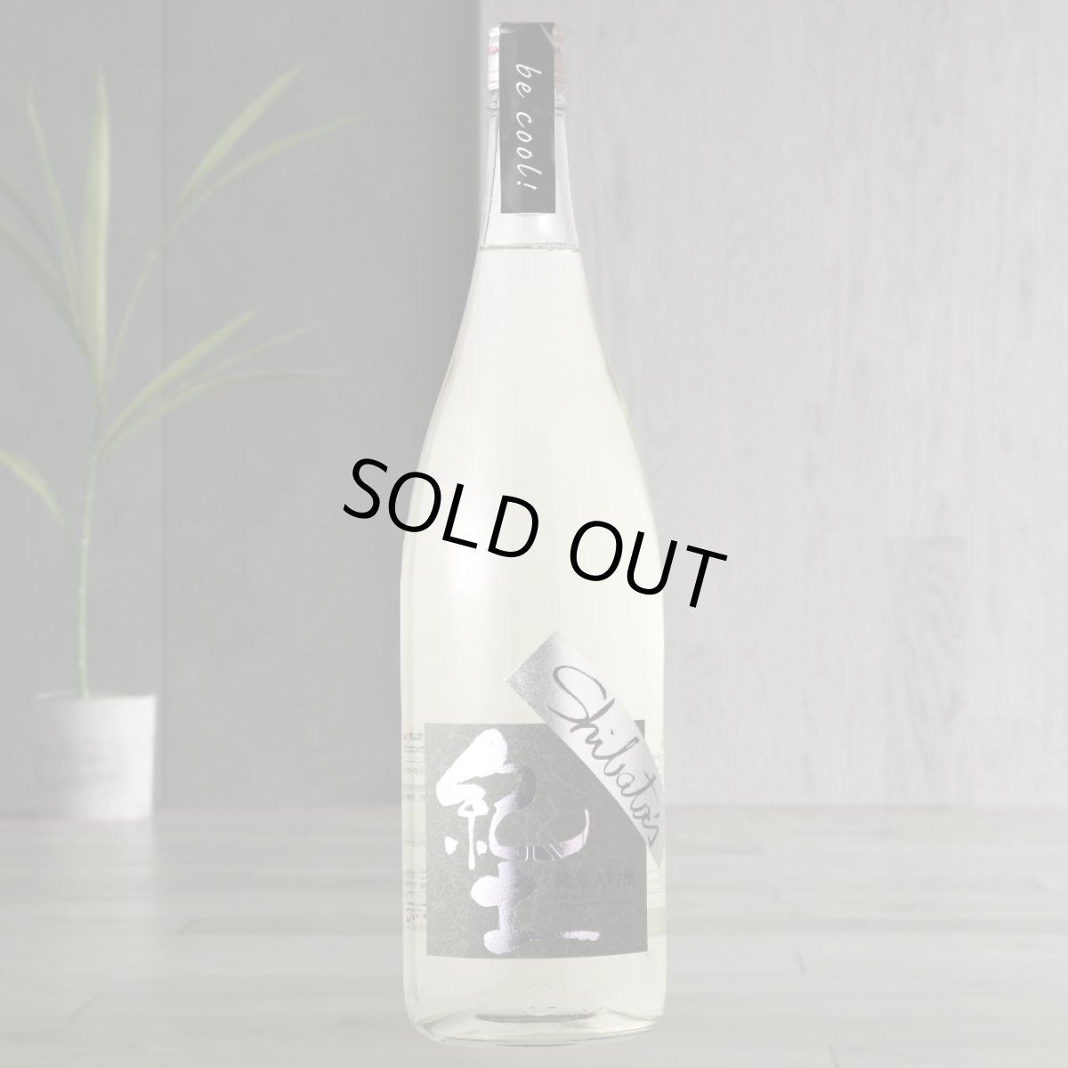 1800ml　4708円