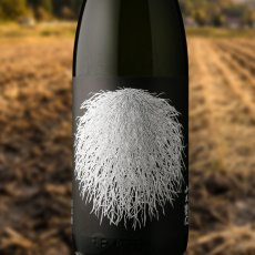 画像1: 小左衛門 リバイバル「根っこ」生酒 （日本酒 中島醸造 こざえもん クール便発送） (1)