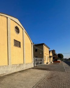 画像3: ポアンツァ　アランチョ―ネ （オレンジワイン イタリア　エミリア・ロマーニャ ピアチェンツァ　ヴェッキオ・コンソルツィオ1953） (3)