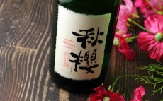 画像5: 富久長 純米吟醸 秋櫻 （コスモス）（日本酒 今田酒造本店 ふくちょう） (5)