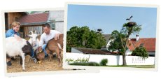 画像5: ライフ イズ ビューティフル（赤ワイン オーストリア / ブルゲンラント　ヘイダー） (5)