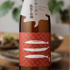 画像1: 秋刀魚と呑む越路乃紅梅 無濾過原酒（日本酒 頚城酒造 こしじのこうばい） (1)