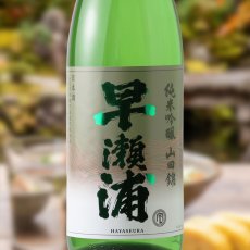 画像1: 早瀬浦 純米吟醸 山田錦 1800ml（日本酒 三宅彦右衛門酒造 はやせうら） (1)