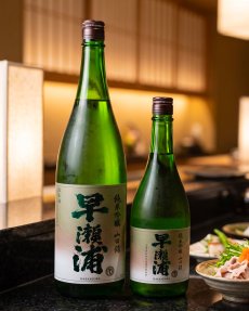 画像7: 早瀬浦 純米吟醸 山田錦 1800ml（日本酒 三宅彦右衛門酒造 はやせうら） (7)