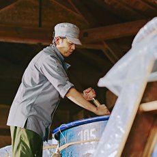 画像10: shirakiku 純米吟醸無濾過一火原酒 ブリリアント 720ml（日本酒 白杉酒造 シラキク） (10)