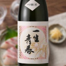 画像1: 天明 一生青春 吟醸 1800ml (1)