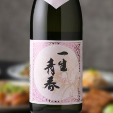画像1: 一生青春 純米吟醸 720ml（日本酒 天明 曙酒造） (1)