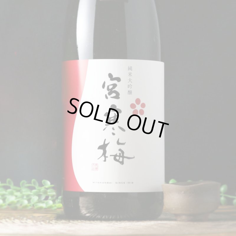 宮寒梅 純米大吟醸 1800ml - 酒舗 井上屋