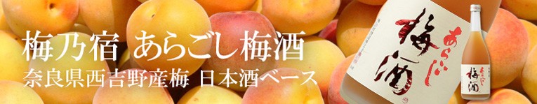 梅乃宿 梅・ゆず酒セット (ギフト/あらごし梅酒/梅乃宿 ゆず酒) 梅乃宿 梅・ゆず酒セット (ギフト/あらごし梅酒/梅乃宿 ゆず酒)