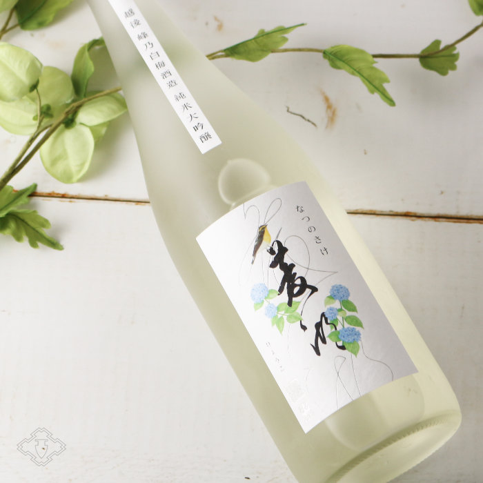 菱湖 純米大吟醸 なつのさけ 720ml 酒舗 井上屋