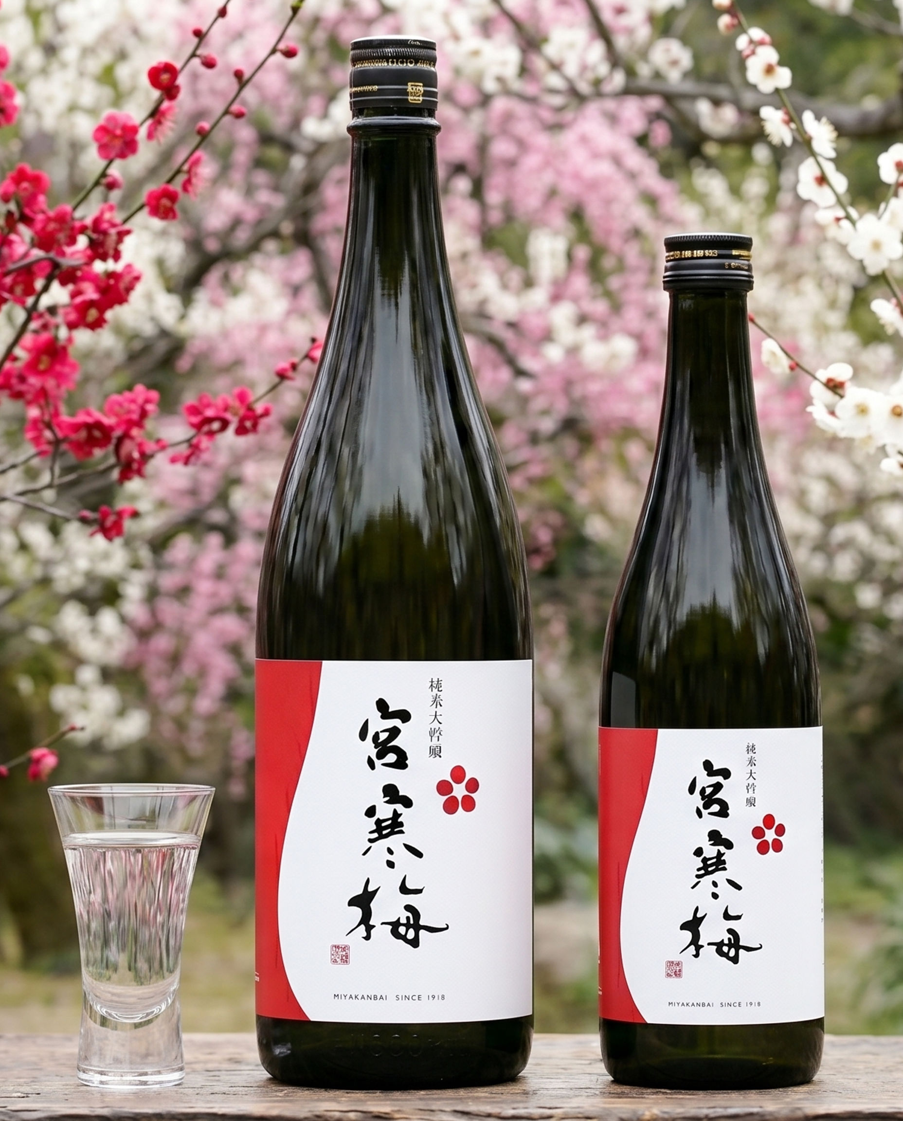 宮寒梅 純米大吟醸 - 酒舗 井上屋
