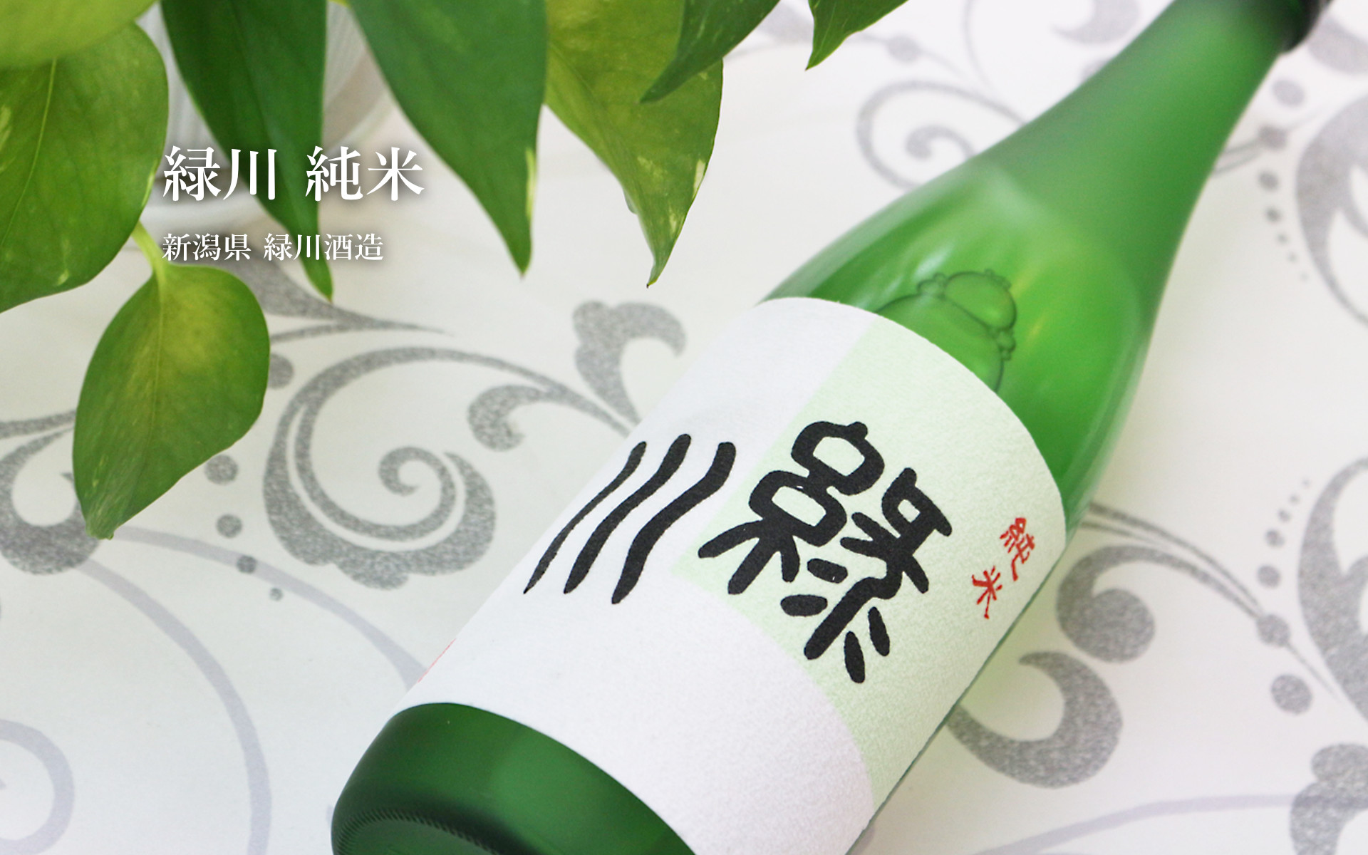 緑川純米